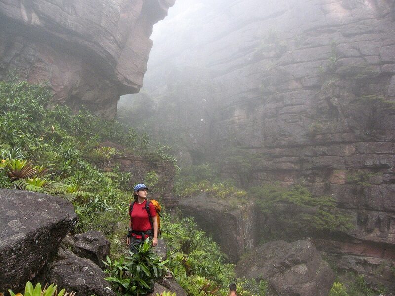 Roraima Trekking: Farne und Felsspalten säumen den Weg