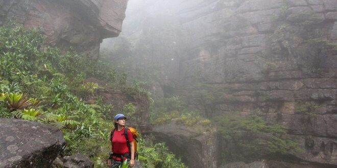 Roraima Trekking: Farne und Felsspalten säumen den Weg